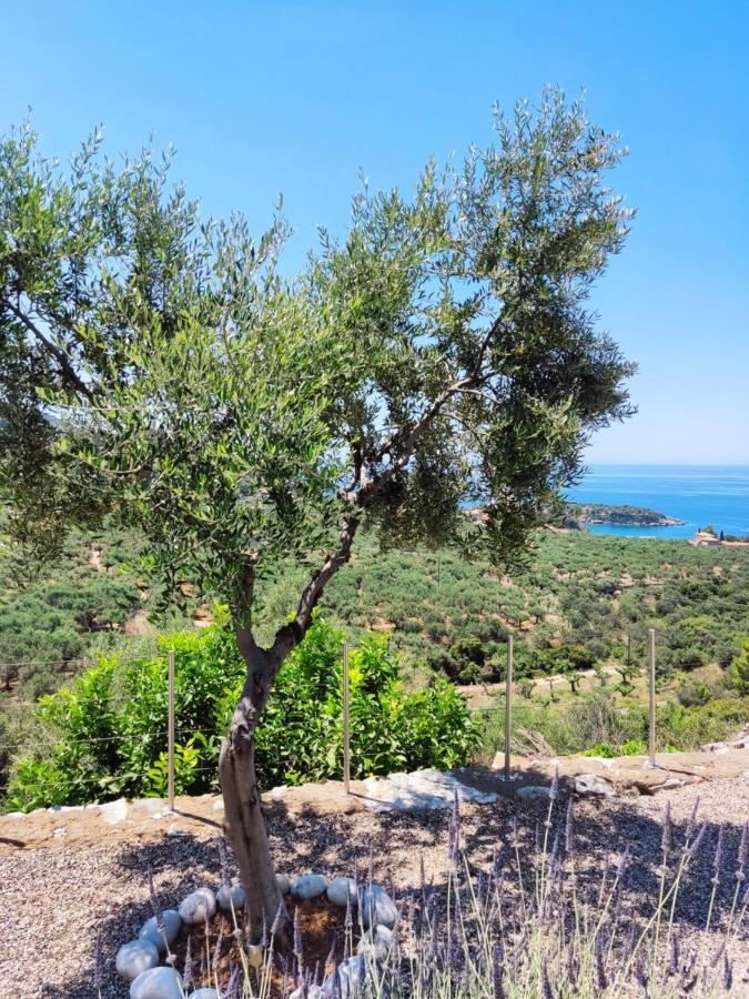 Villa Athina'S Stone House In Kardhamili Esterno foto