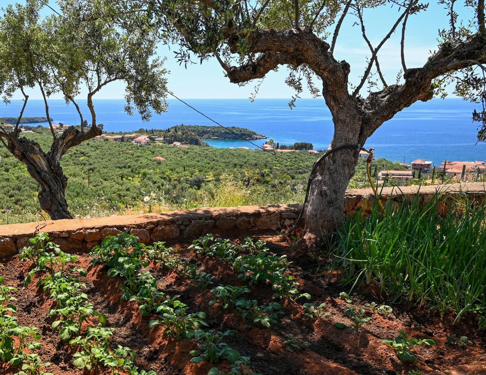 Villa Athina'S Stone House In Kardhamili Esterno foto